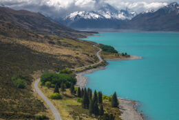 New Zealand 2025 (2 group) (67/84)